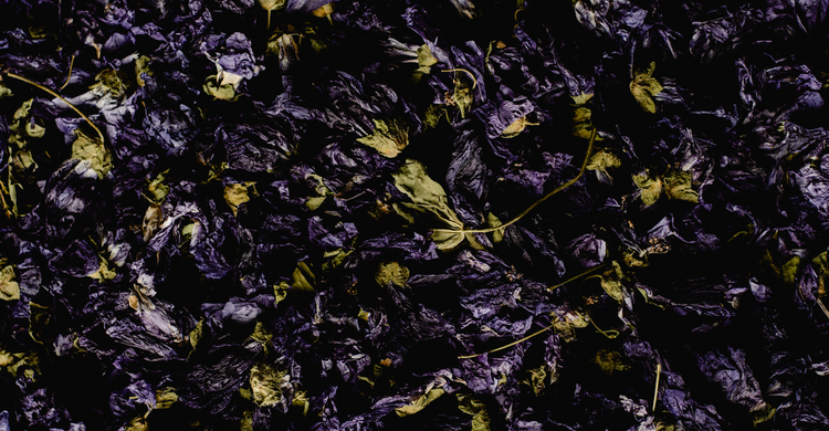Herbal Teas