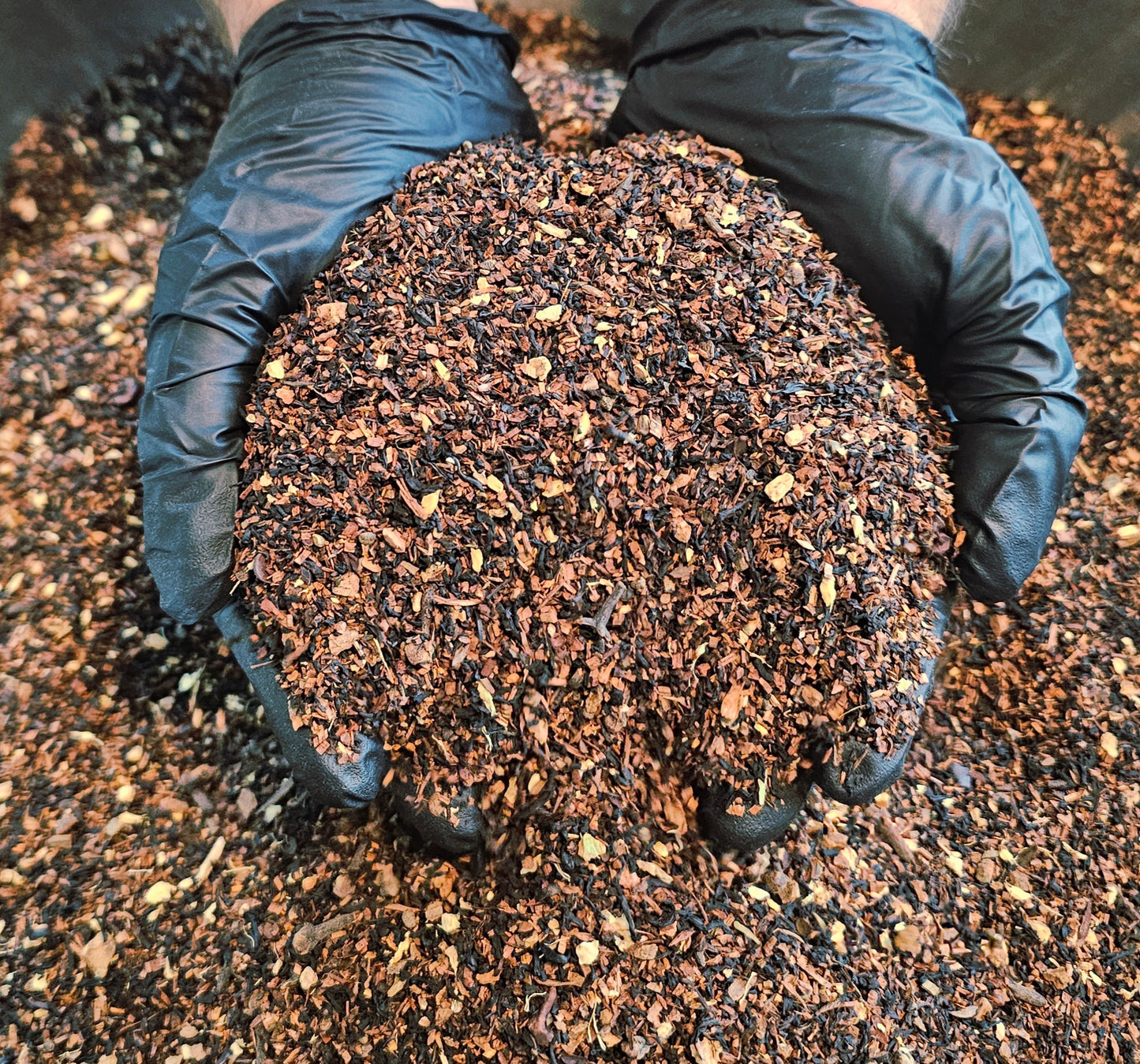 Cocoa Hazelnut Chai