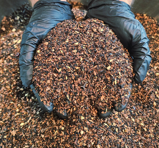Cocoa Hazelnut Chai